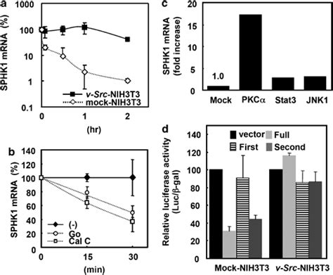 Half Life Of Sphingosine Kinase Sphk Mrna A Half Life Of Sphk