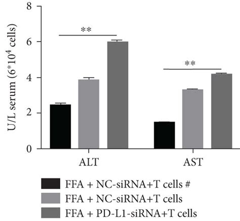 PD L1 Knockdown Aggravated The Damage Of CD8 T Cells To FFA Treated