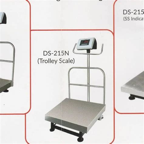 Stainless Steel Pan Material Essae DS 415N Digital Platform Scale