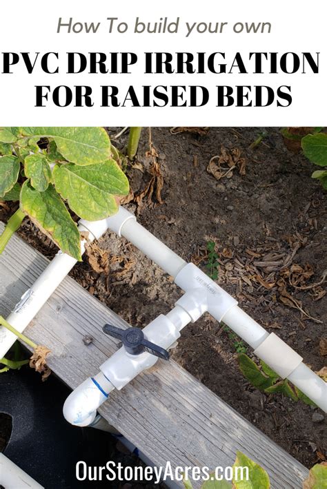 Pvc Drip Irrigation Raised Beds Artofit