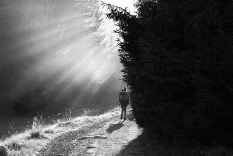 Black and White Photography of a Woman Hiking in the Forest · Free ...