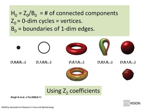 Betti Numbers Provide A Signature Of The Underlying Topology Ppt