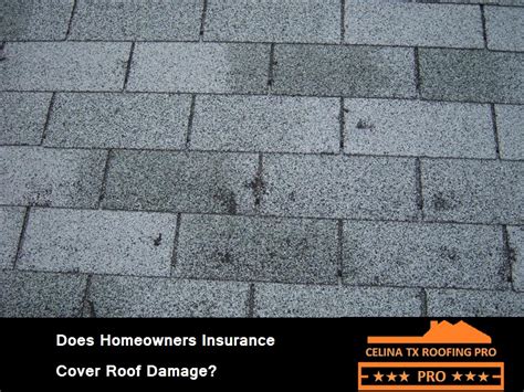 Does Homeowners Insurance Cover Roof Damage Celina TX Roofing Pro