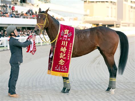 【注目馬動向】交流g1連勝中のウシュバテソーロがドバイ・ワールドcの招待を受諾 川田将雅騎手と初コンビ スポーツ報知