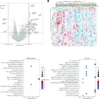 Screening for differentially expressed genes. (A, B) Volcano plot ... 