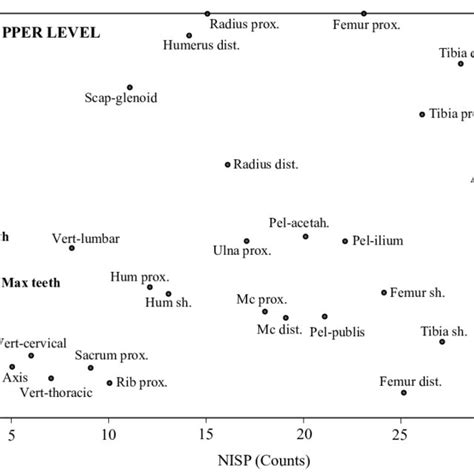 Nisp Counts Of Skeletal Elements For The Upper Mb Iib Level L900902