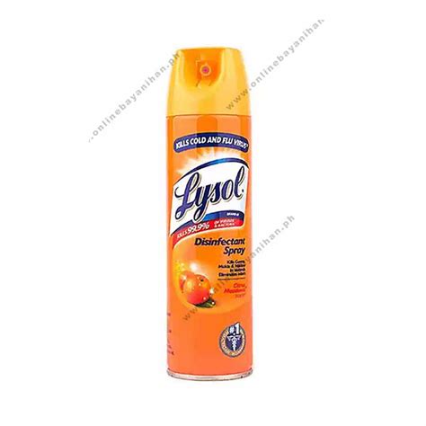 Lysol Citrus Meadows Disinfectant Spray 170gr Onlinebayanihanph