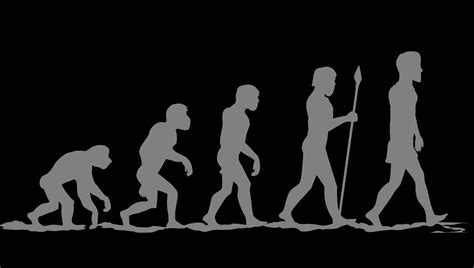 Section 1: Darwin’s Theory of Evolution | Nitty Gritty Science