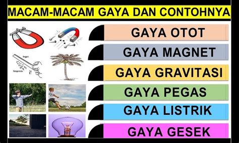 Pengertian Dan 10 Macam Macam Gaya Beserta Contohnya