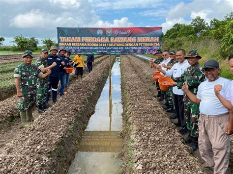 Langkah Konkret Pt Timah Untuk Meningkatkan Kesejahteraan Masyarakat