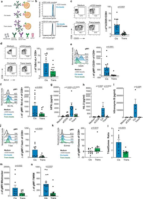 Comparative Functional Consequences Of CD137 Costimulation Of Human