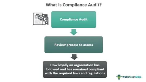 Compliance Audit What Is It Example Types Objectives