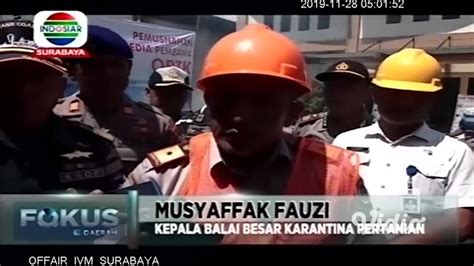 Ratusan Sachet Benih Tanaman Hias Illegal Dimusnahkan Banyuwangi Jawa