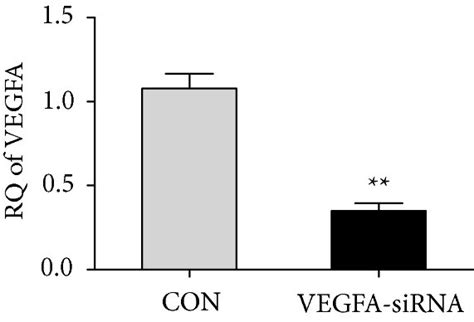 Expression Of Igfbp In Caki Cell Line A Expression Of Vegfa After