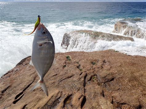 land based fishing Evans Head | Landangler's Blog