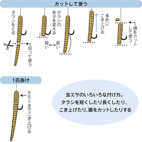 キス釣りでのゴカイ 虫エサ の付け方 釣りの疑問 釣りぽ Tsuripo