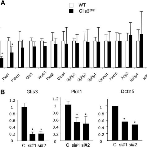 Targeting The Glis3 Locus A Schematic View Of The Mouse Glis3 Locus