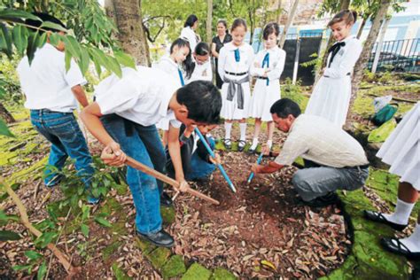 Club Aprende A Elaborar Una Abonera Org Nica