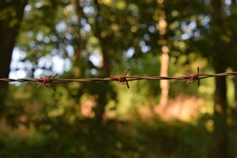 Erfahre Wie Lang Eine Berweisung Von Sterreich Nach Deutschland