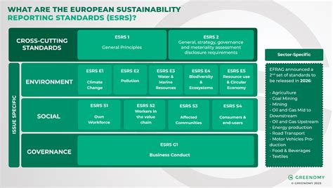 Understanding The Official Esrs And Its Final Revisions