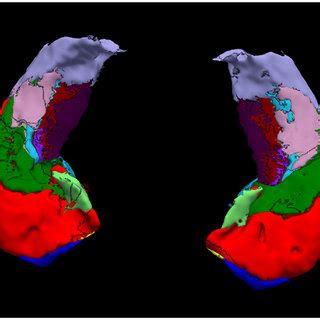 Visualization Of The Hippocampal Subfield Segmentations For A Single