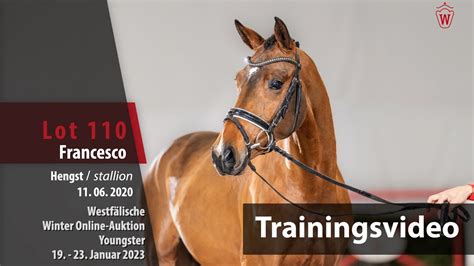 Winter Online Auktion Training Lot Francesco Hengst V Franz Joseph