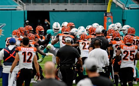 Nfl Se Enfrascan Delfines Y Bengal Es En Una Batalla Campal