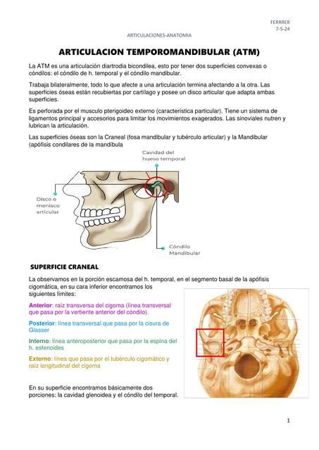 Articulacion Temporomandibular Paloma Udocz