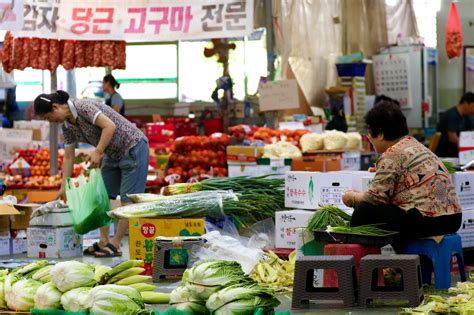 포토 장마·폭염에 금값된 채솟값