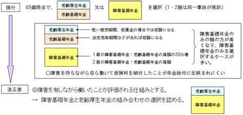 厚生労働省：平成18年全国厚生労働関係部局長会議資料（年金局）