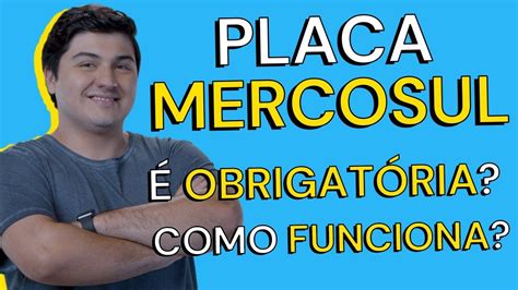 Consultar um veículo pela placa entenda como fazer