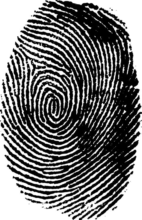 Download Fingerprint Transparent Png Clip Fingerprint Hd