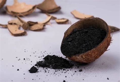 Coconut Shell Charcoal At Best Price In Tiruppur By Apex Coco And Solar