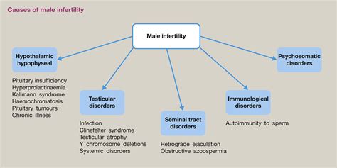 Male Infertility Obstetrics Gynaecology And Reproductive Medicine