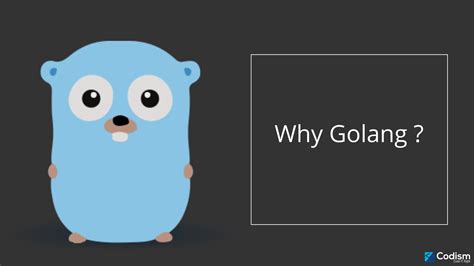 Top 5 Reasons Why Golang Is Popular Among Developers