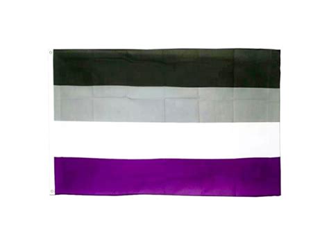 Henbrandt Asexual Gay Pride Large Flag X Feet