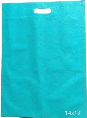 Sky Blue Plain 14x19 Inch D Cut Non Woven Bag Capacity 2 Kg At Rs 160