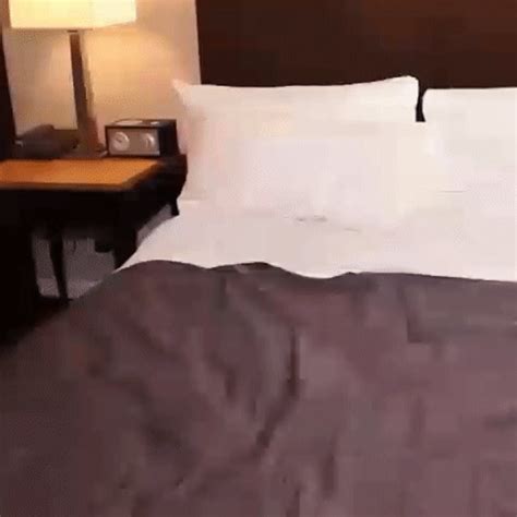 What S The Name Of This Porn Star Jackie Stevens NameThatPorn