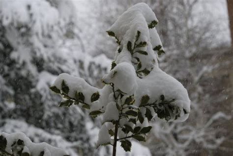 Maltempo Prevista Abbondante Neve Anche In Pianura E Sulla Costa