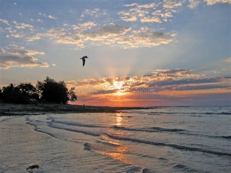 Romantic Sunset Over Casuarina Beach Darwin Nt Australia Stock Photo