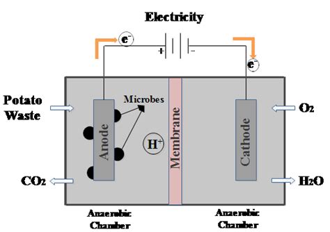 Schematic Diagram Of Microbial Fuel Cell Configuration Download Scientific Diagram