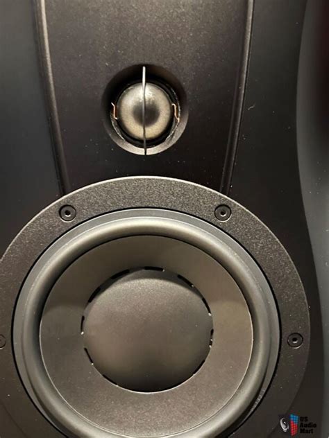 Dynaudio Confidence C Platinum Photo Us Audio Mart