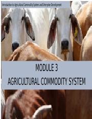 Agriculture Commodity System Analysis Pptx Introduction To