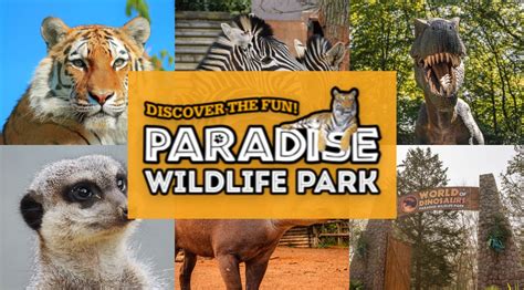 Paradise Wildlife Park | Attraction in Hertfordshire | The Tourist Trail