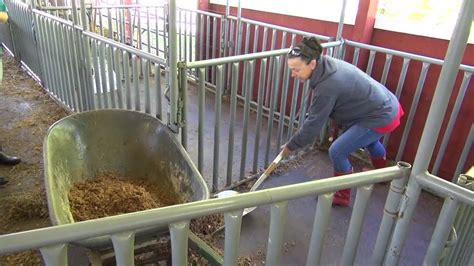 Greene Dreher Sterling Fair Reopens After Flooding Wnep