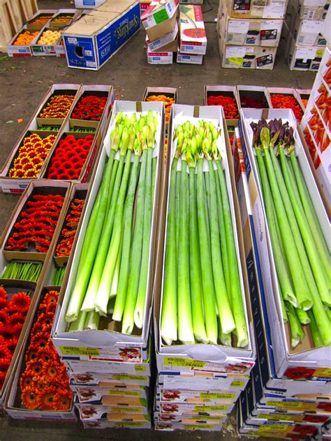 Massive crowds are expected at the next vauxhall market 7