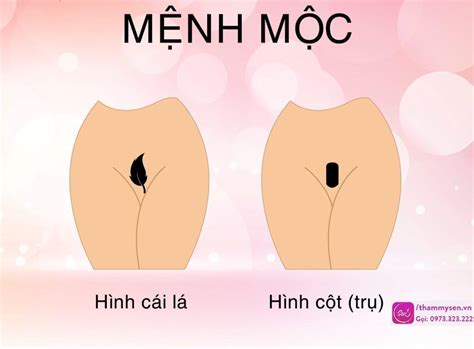 Bộ sưu tập 50 mẫu tạo hình bikini đẹp Cho các chị em tự tin diện bikini