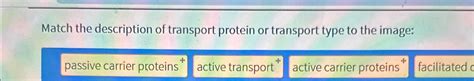 Solved Match the description of transport protein or | Chegg.com