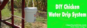 DIY Chicken Waterer for Under $10 - Chicken Watering System