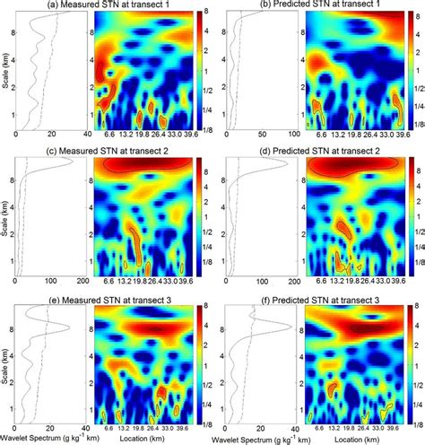 Global Graph Wavelet Power Spectrum And Local Image Wavelet